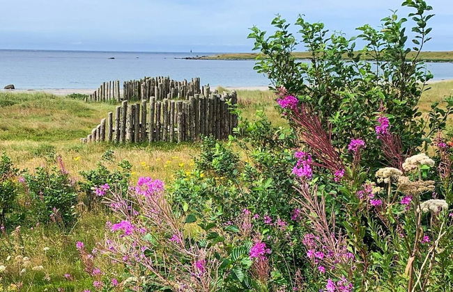 4 Person Holiday Home in Borhaug - Foto 20