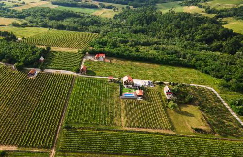 Beautiful Home In Velika - Photo 23