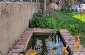 La casa del fresno - Foto 24