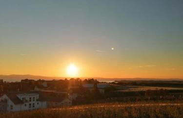 Ferienwohnung Hengnau in Wasserburg am Bodensee - Foto 19