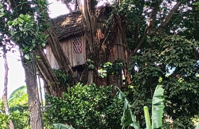 Glowing view tree house and Bangalow - Foto 13