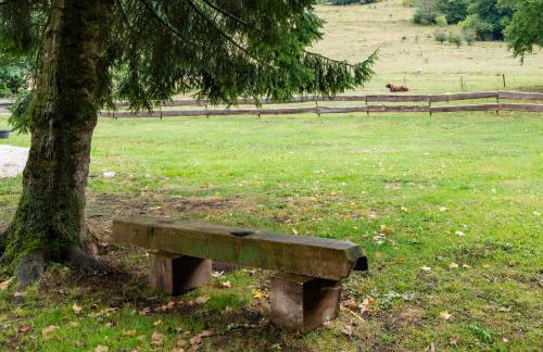 Gite de groupe - Les Carlines - Foto 30