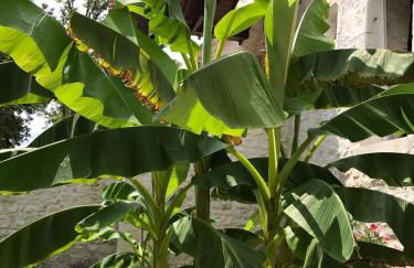 Bergerie Le Vieux Manoir - Foto 12