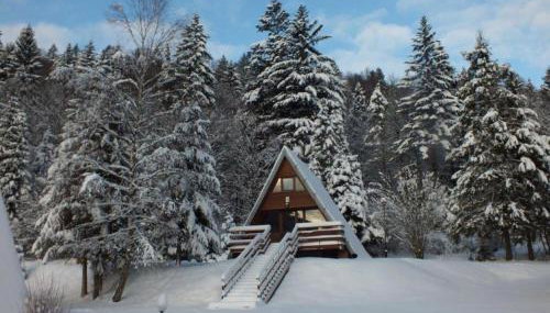 Perełka Bieszczady Domki - Foto 5