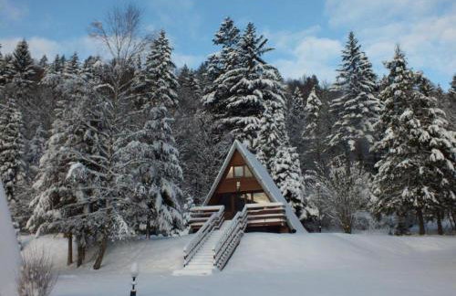 Perełka Bieszczady Domki - Photo 5