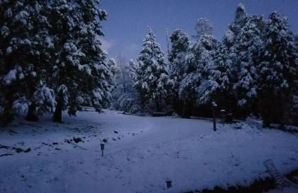 Starlink Mariposa Yosemite mountain retreat - Foto 20