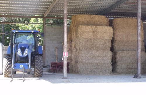 Agriturismo Podere Montese - Foto 72