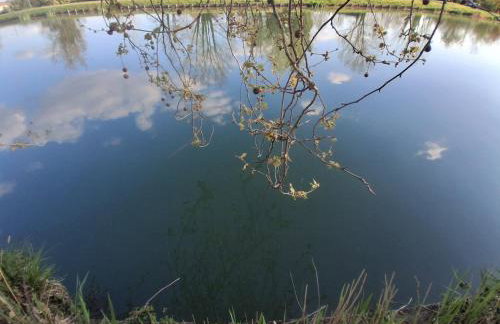 La terrasse Majorelle. - Foto 9