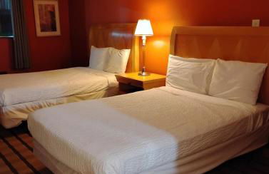 Gated 2 Double Bed Studio with Full Kitchen 118 - Foto 6