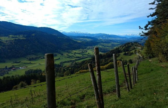 Nice Apartment in Bavaria - Photo 15