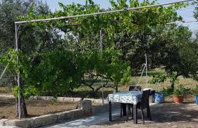 Uliveto Sant' Isidoro - Foto 39