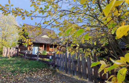 Jabłoniowy Sad Kalwaria Pacławska - Foto 41