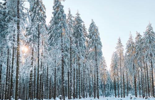 Charging Station Woffelsbach - Photo 30