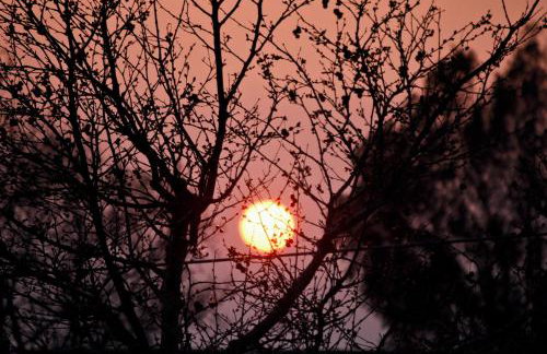 Near Paradise - Photo 6