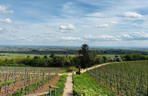 Loft am Teufelsberg - Foto 17