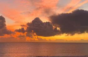 MAISON 3 CHAMBRES SUR UNE DUNE A 50 M DE LA PLAGE - Foto 15