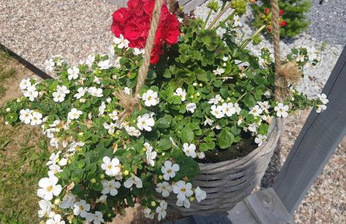 Domek Konrad - balia ogrodowa dodatkowo płatna - Foto 43