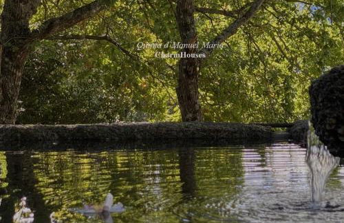 Quinta D`Manuel Maria- Rural Charm Houses - Foto 1