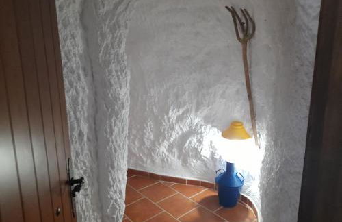 Cuevas la Chumbera - Photo 11