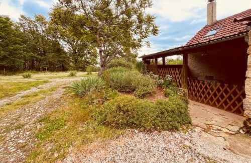 Maison chaleureuse au coeur de la nature Montignac Lascaux Dordogne 4 pers - Foto 23