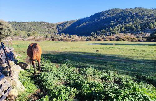 Disfrutando la zona - Photo 23