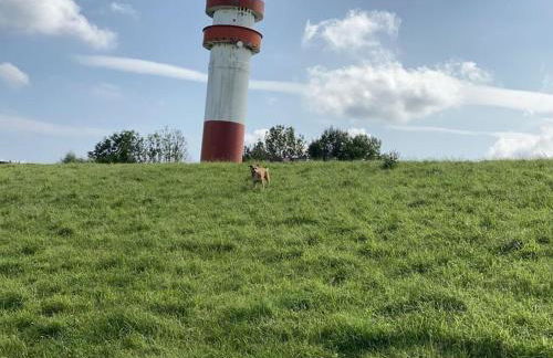 Holiday Apartment Elbe - Foto 61