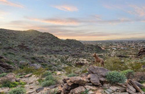 The Hummingbird House, Sauna & Mountain Views! - Foto 23