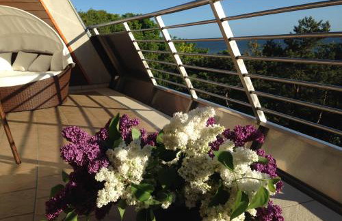 Hotel Dom Zdrojowy Prywatny Apartament 359 Lazurowa Gondola - Photo 10