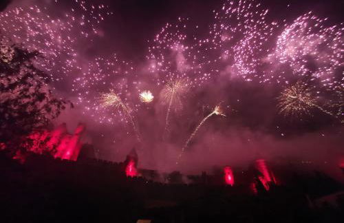 Le Belvédère St Gimer - Photo 33