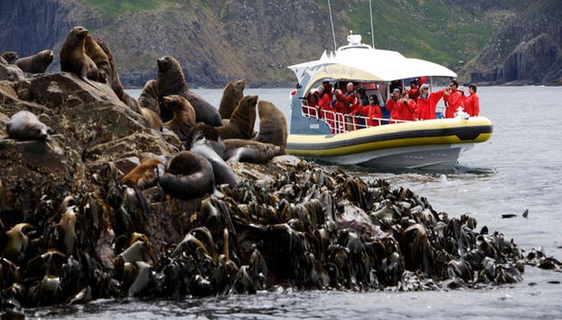 Bruny Island Cruise from Hobart - Full-Day Tour - Photo 4