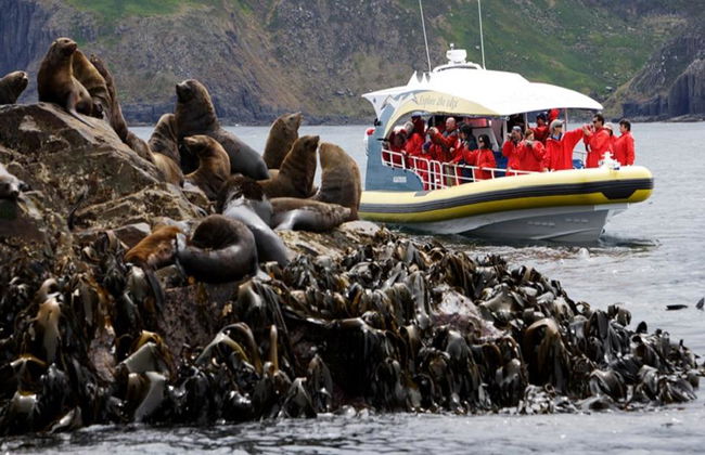 Bruny Island Cruise from Hobart - Full-Day Tour - Photo 4