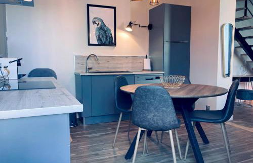 La bulle des Viennes MAISON CLIMATISEE - CHAMPAGNE - Foto 18