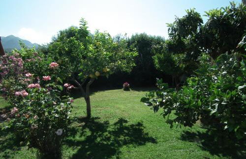 Stoupa's Paradise - Foto 62