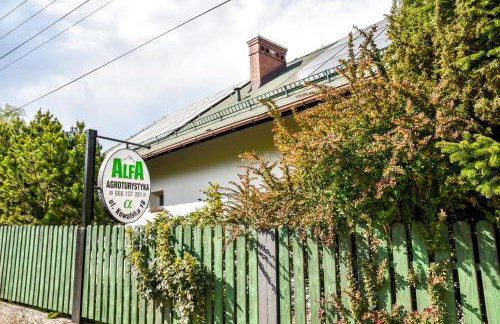 Agroturystyka Alfa - Foto 42