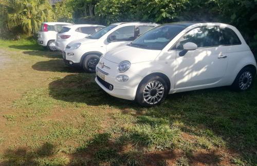 Granny's farm - Foto 22