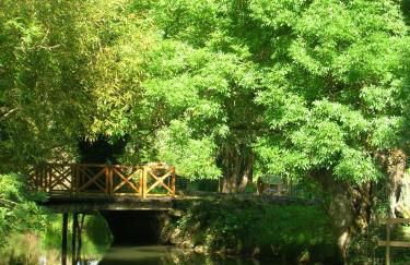 La Maison des Renaudières - Foto 16