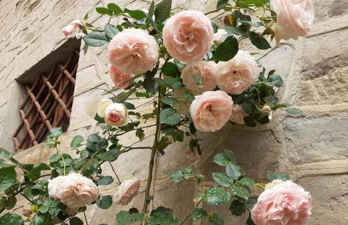 Villa Tommasini La torre - Foto 43