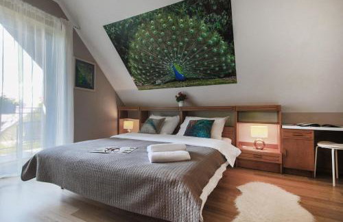 Villa Aviator - Foto 1