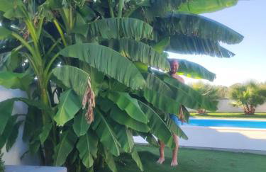 Villa Polis - Foto 55