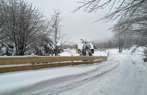 Domki pod Kamionna - Photo 37