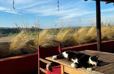 Tenuta Saracone - Foto 64