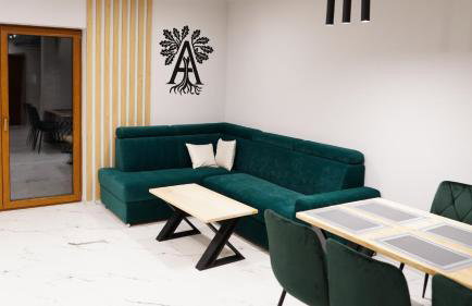 Apartamenty pod Dębami - noclegi Beskid Niski - Foto 13