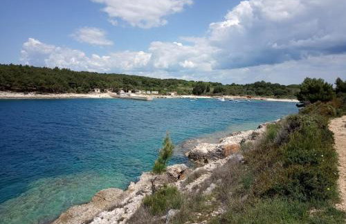 Apartman Suzy - Photo 17