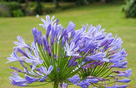 Agapè, élégant T2, 4 étoiles, plage et GR34 3km, centre ville 750m - Foto 36