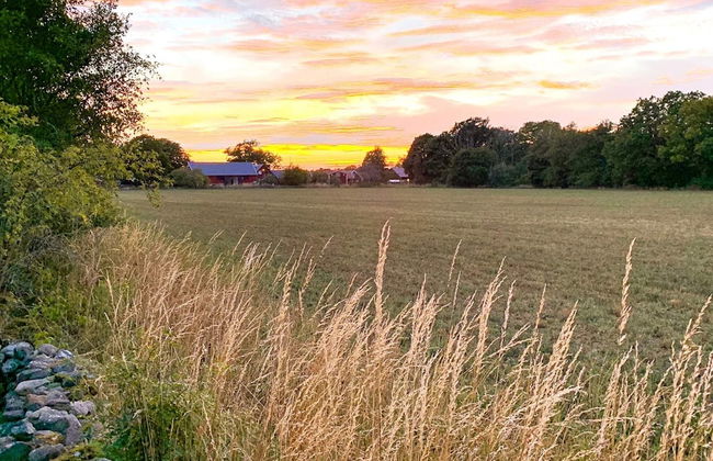 4 Person Holiday Home in Farjestaden - Foto 22