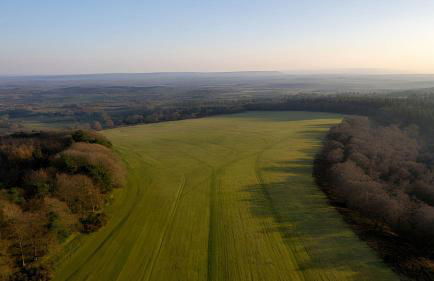 The Piggery - Foto 19