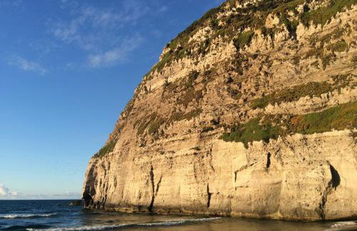 Quinta dos Peixes Falantes - Photo 158