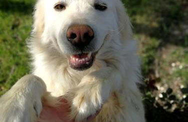 Agriturismo Apparita - Foto 25