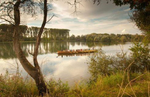 Ferienwohnung Rheinzabern - Foto 20