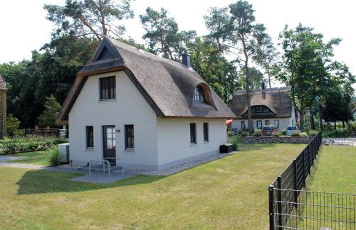 Zweite Heimat - Foto 22